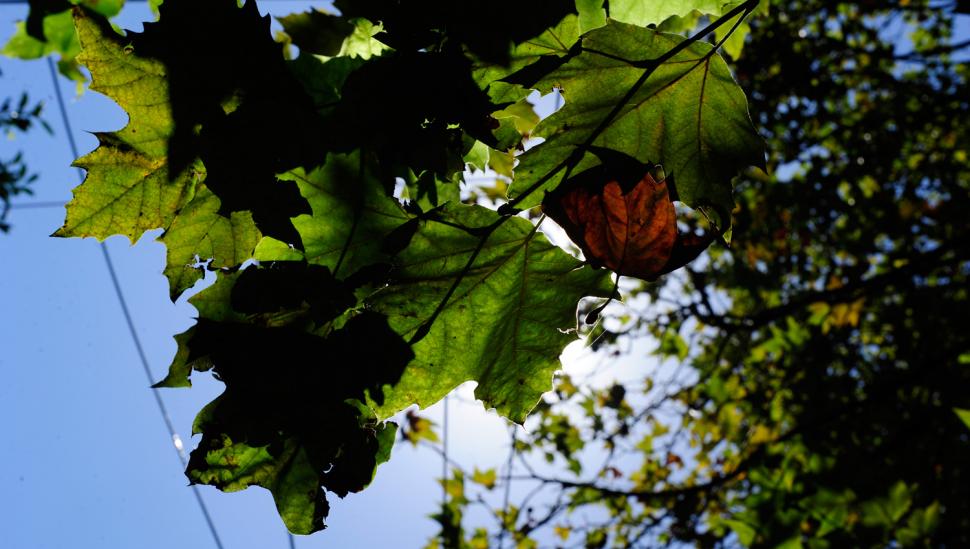 El frío volverá a marcar las primeras horas del martes