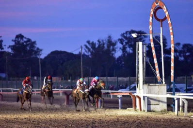 Para todos los gustos