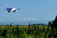 Desde el sábado se podrá volar directo desde Tucumán hacia San Pablo