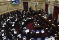 Radiografía de la estrategia oficial en el Senado