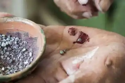Los insectos que les dan color a dulces y golosinas