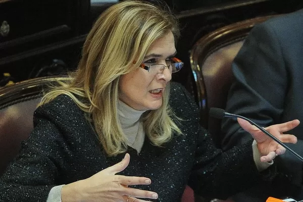 Elías de Pérez dijo que el proyecto sobre tarifas es unitario y explicó cómo afectaría a los tucumanos