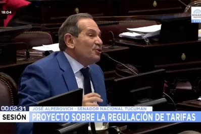 Alperovich habló en el Senado y le pidió a Macri que no vete la ley antitarifas