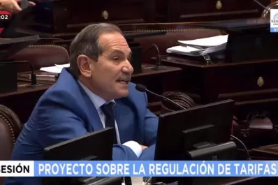 Luego de un polémico debate, el Senado convirtió en ley el proyecto que limita las subas tarifarias