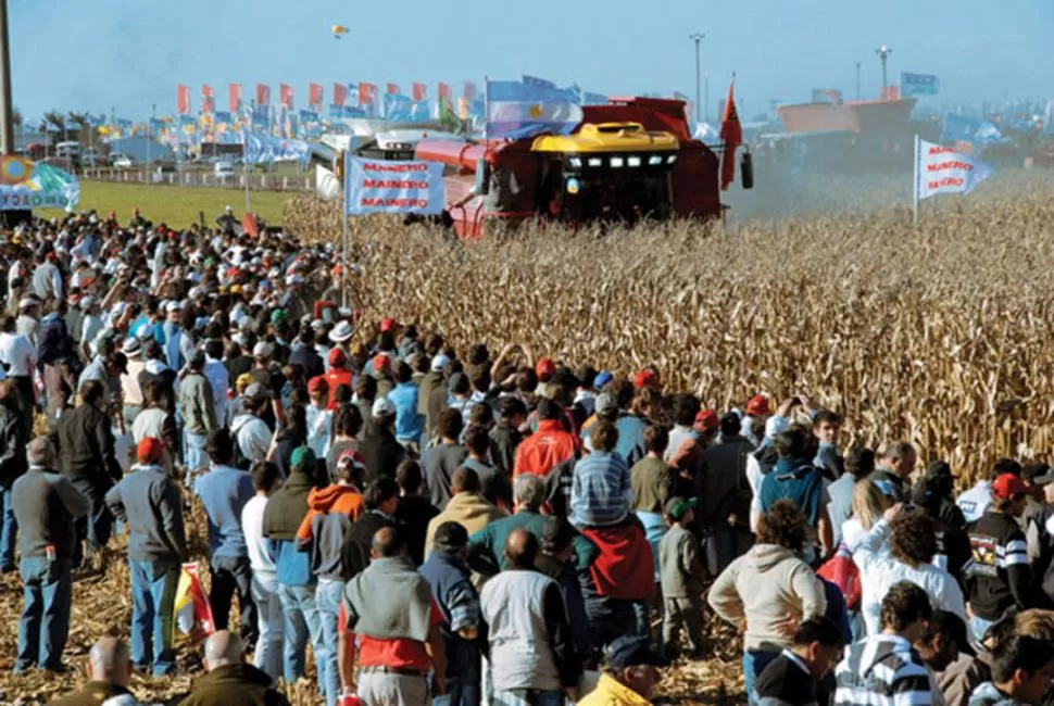 POR LOS LOTES. Las cosechadoras mostrarán su capacidad de trabajo. GENTILEZA AGROACTIVA