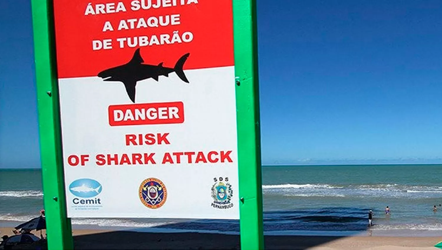 PROHIBIDO BAÑARSE. Algunas playas del vecino país advierten sobre la presencia de tiburones. FOTO TOMADA DE TELAM