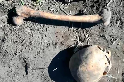 Hacía una huerta en el jardín cuando encontró los restos enterrados del ex de su esposa