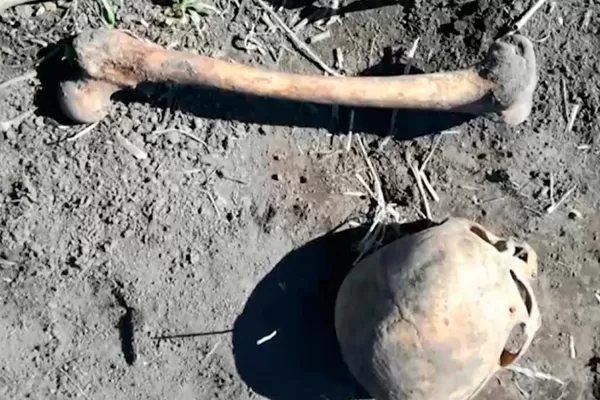 Hacía una huerta en el jardín cuando encontró los restos enterrados del ex de su esposa