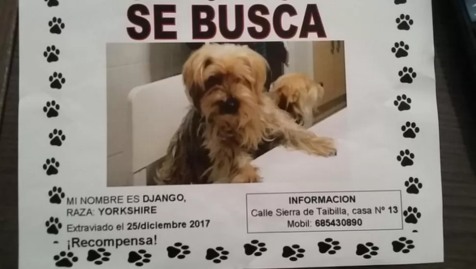 UN MÉTODO EFICAZ. Aunque ahora se usan las redes sociales, los carteles en la calle suelen dar buen resultado.
