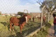 La Provincia dice que es nulo un acuerdo suscrito por Estofán