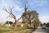 Condenan al PE a pagar $25 millones por un predio que costó $227.000