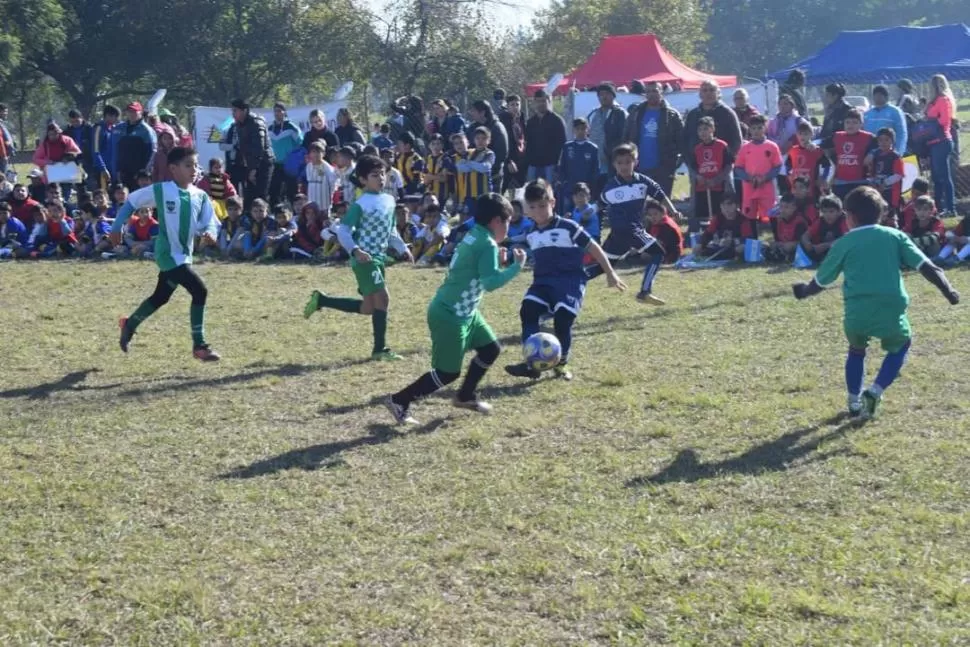 PELOTA DOMINADA. Chicos de 5 a 9 años participan en el Mundial Cebollitas. fotos dirección de deportes de la municipalidad