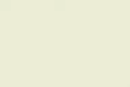 ¿Y si salen campeones?