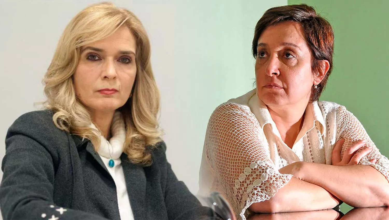 Las senadoras tucumanas Mirkin y Elías de Pérez se enfrentarán por el  aborto. LA GACETA