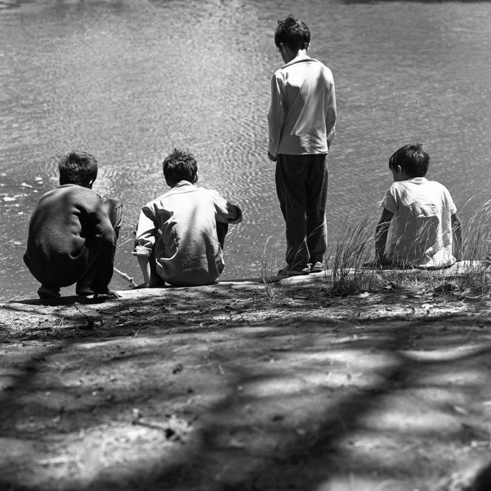 DETALLE. Parque Saavedra, Buenos Aires, 1962. Negativo blanco y negro.