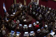 Suspendieron las actividades en el Senado por la tragedia en la familia de Luis Naidenof