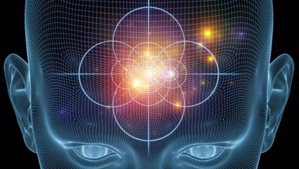 CAPACIDAD INSTALADA. Nuestro cerebro dispone de una gran plasticidad que no solemos explotar.