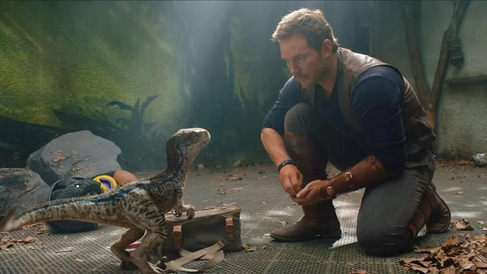 REINCIDENTE. Chris Pratt protagoniza la nueva entrega de la saga Jurassic Park por segunda vez consecutiva. 