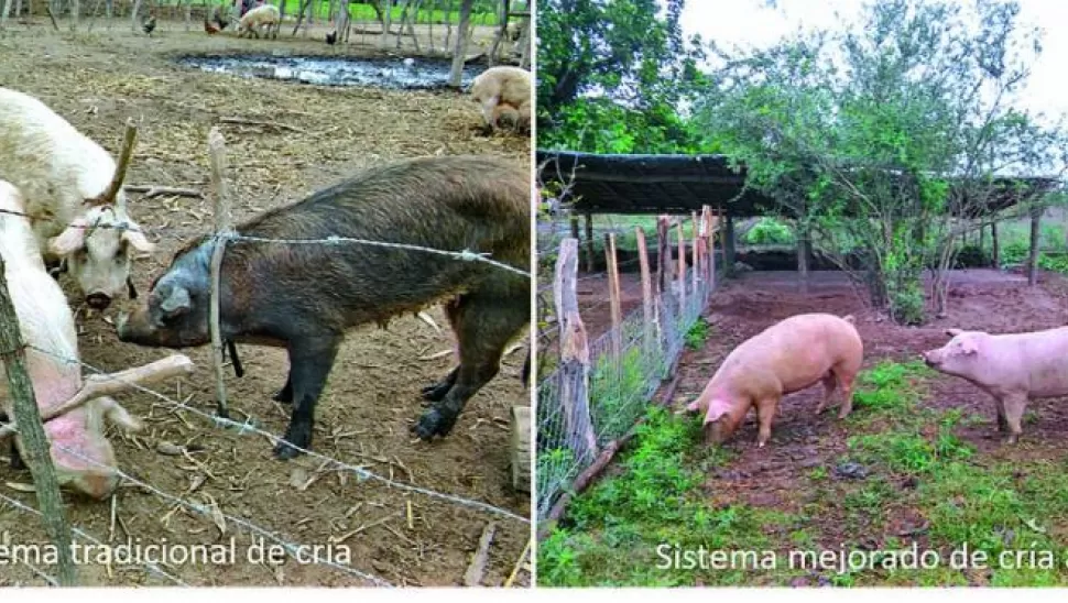 LA EVOLUCIÓN 2007-2017. La imagen izquierda muestra cómo era el sistema productivo de cerdos en la zona de Leales, mientras que la imagen derecha muestra el cambio producido. 