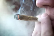 El 27% de los adictos que se tratan lo hace por marihuana