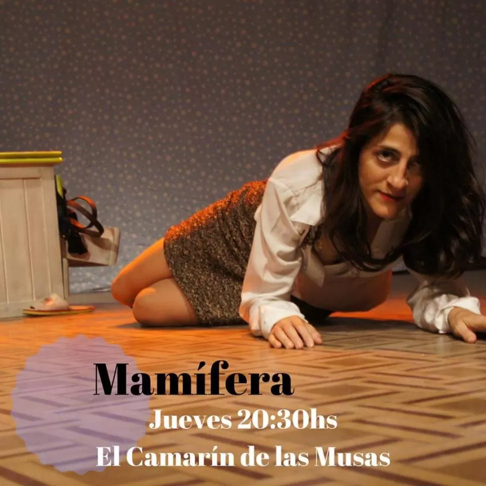 MOMENTO ESPECIAL. Alejandra D’Agostino interpreta “Mamífera”, la obra que escribieron junto a Sol Bonelli. PRENSA.