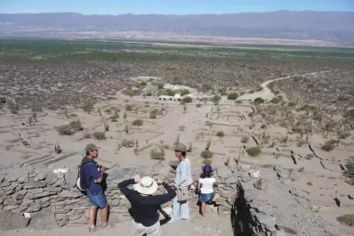 Al rescate del producto estrella del Valle Calchaquí