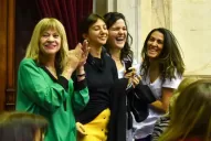 Diputados sancionó la ley Brisa que otorga reparación a hijos de víctimas de femicidios