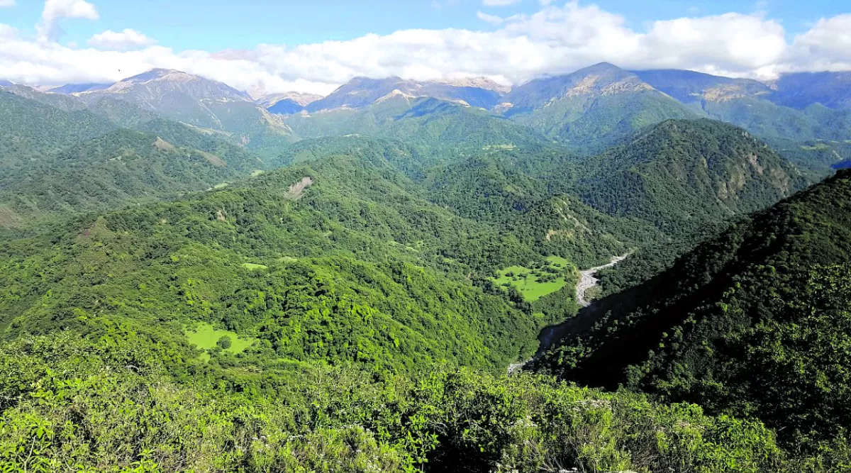 Parque Nacional Aconquija, un nuevo pulmón para el mundo