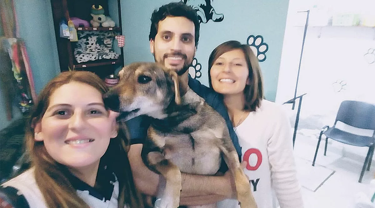 La ayuda para Norberto, el perrito con cáncer, llegó desde todo el país