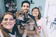 La ayuda para Norberto, el perrito con cáncer, llegó desde todo el país