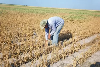 Durante mayo, la actividad económica se desplomó el 5,8%