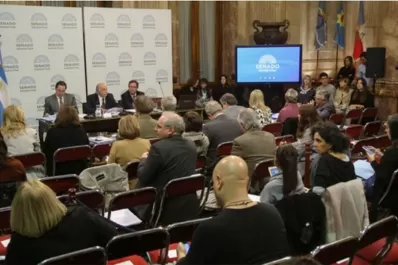 Debate por el aborto: las frases más fuertes de los cuatro tucumanos que hablaron hoy