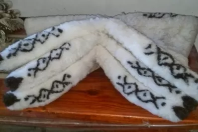 Los pellones tucumanos