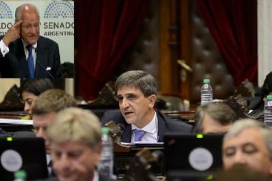 Un diputado tucumano calificó de “disparate” y de “burrada” las declaraciones de Albino