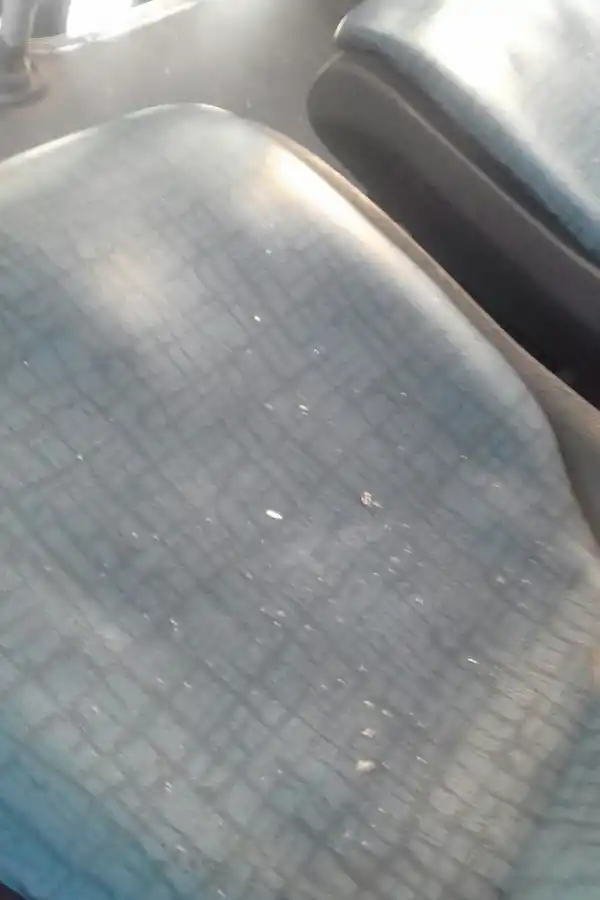 Atacaron a pedradas un colectivo en avenida Siria y Ecuador