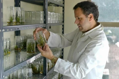 Las soluciones técnicas de la Eeaoc para el agro