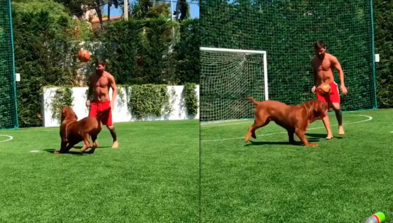 Un crack: Messi gambeteó a su perro y Thiago se sorprendió con la destreza de su papá