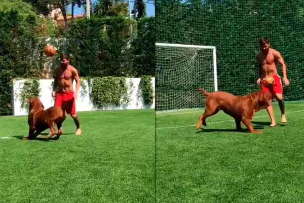 Un crack: Messi gambeteó a su perro y Thiago se sorprendió con la destreza de su papá