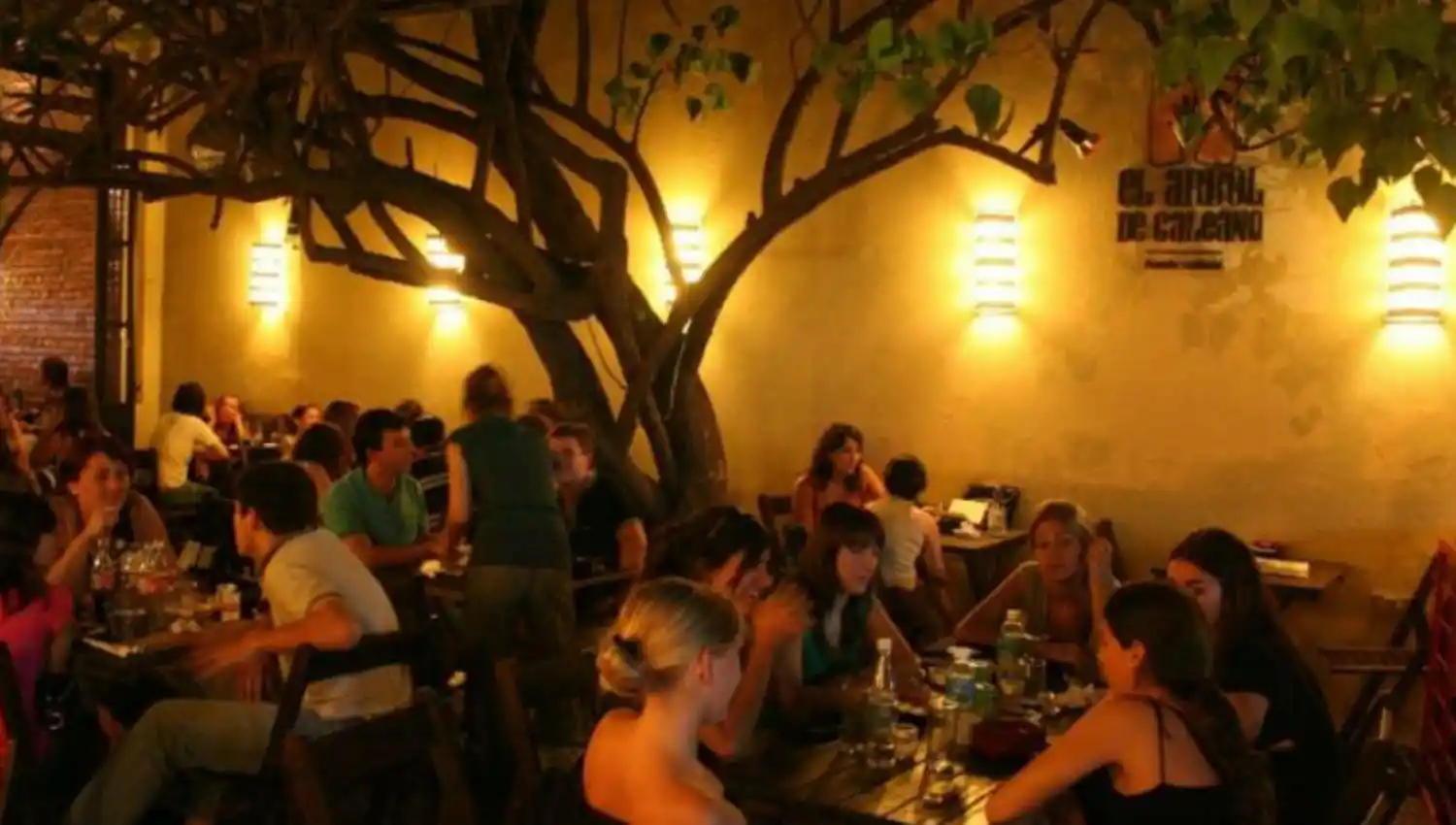 Fernando Ríos, sobre el cierre de El Árbol de Galeano: hasta aquí llegamos; fue eterno mientras duró