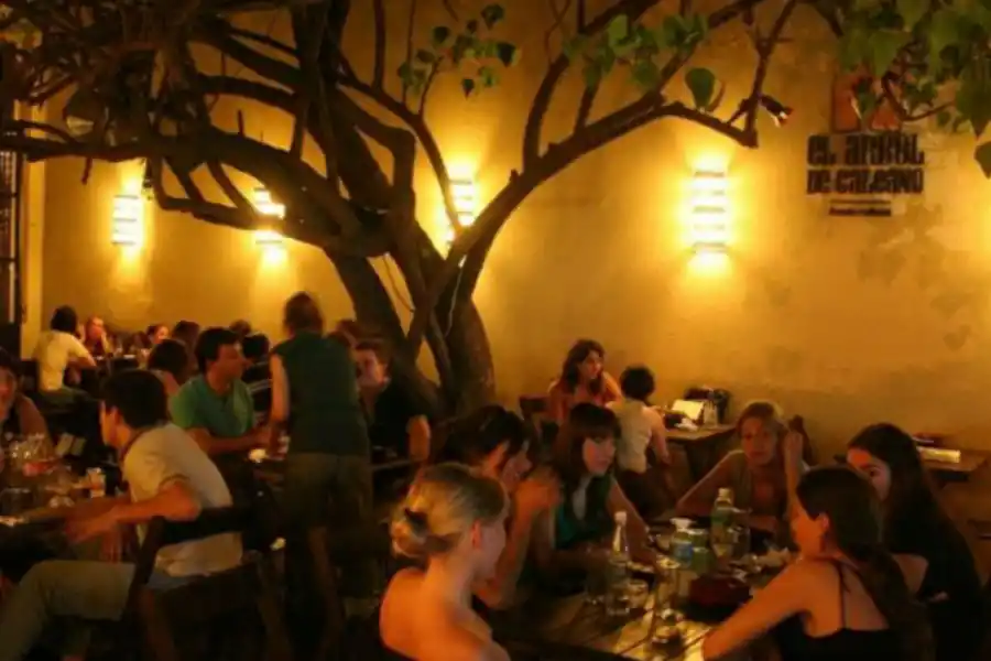 Fernando Ríos, sobre el cierre de El Árbol de Galeano: hasta aquí llegamos; fue eterno mientras duró