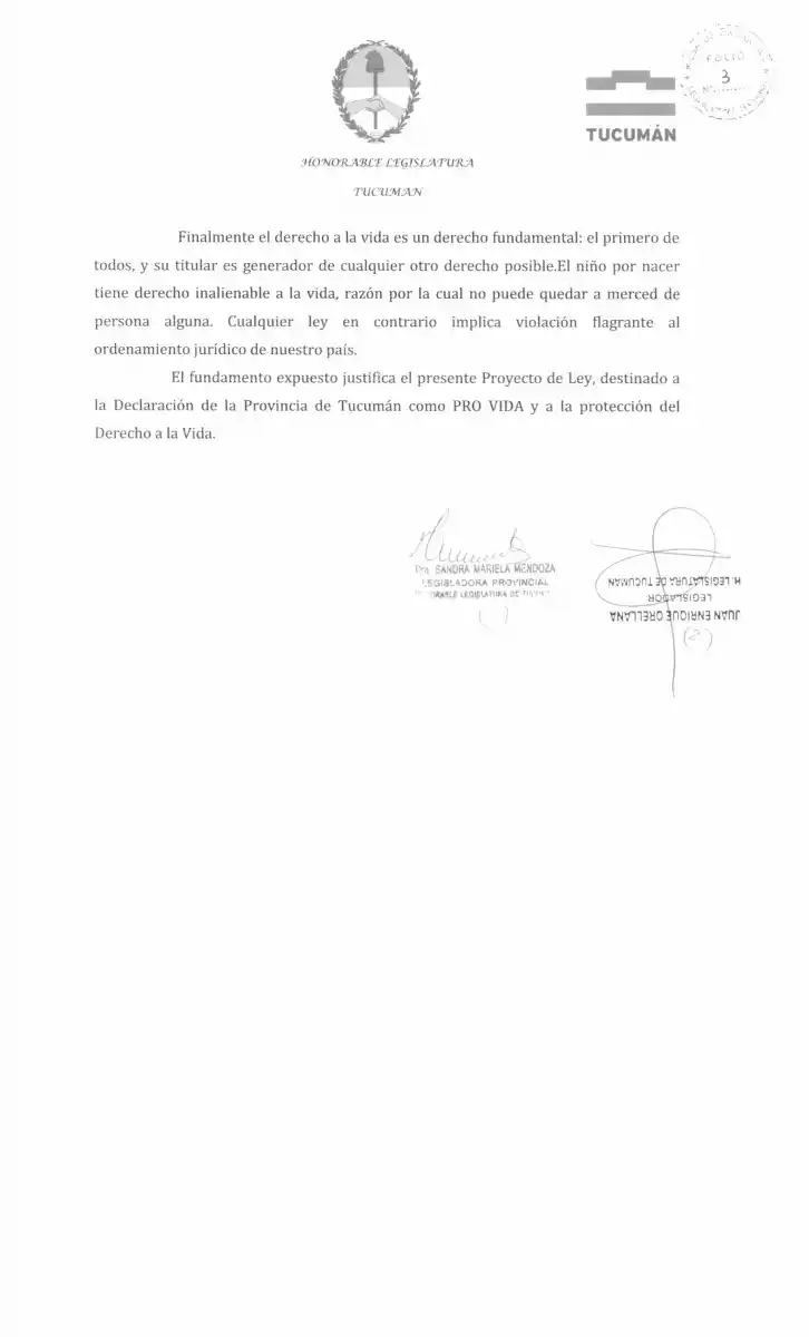 La Legislatura sentará postura y mañana establecería que Tucumán es pro-vida