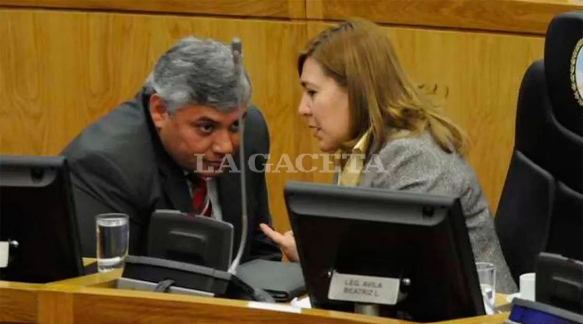 CONTRA EL FPV. Toscano y Avila insisten con las denuncias por aportes.