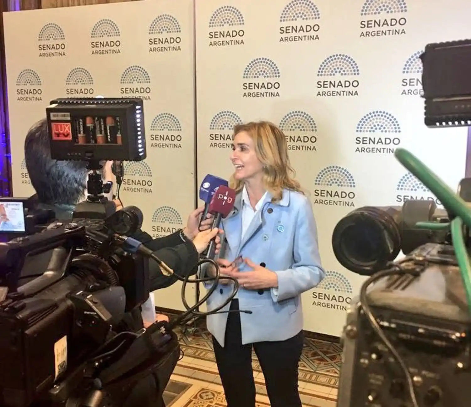 EN CONTRA. La senadora Silvia Elías de Pérez será la encargada de cerrar el debate