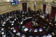 Con un país dividido, el Senado tiene la última palabra para legalizar el aborto