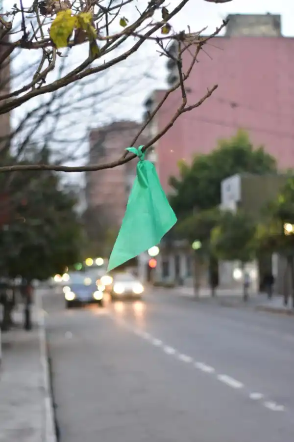 San Miguel de Tucumán amaneció salpicado por la ola verde