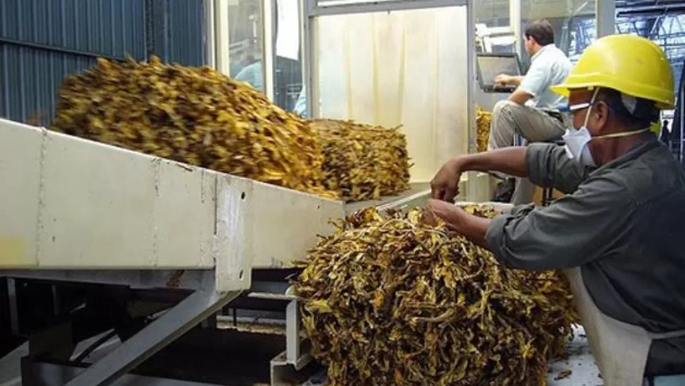 El Gobierno nacional busca aumentar la exportación de tabaco a China