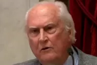 Pino Solanas: se los digo a las chicas que están afuera, esto es un triunfo monumental