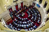 Las 10 frases polémicas durante el debate en el senado