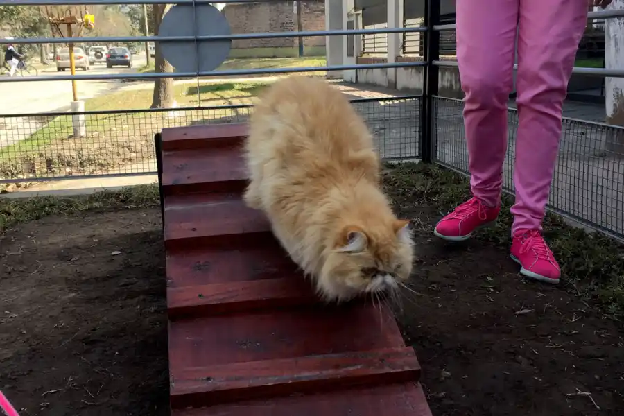MUY CONFIADA. Josefina intenta aprender el circuito de los distintos juegos de la plaza