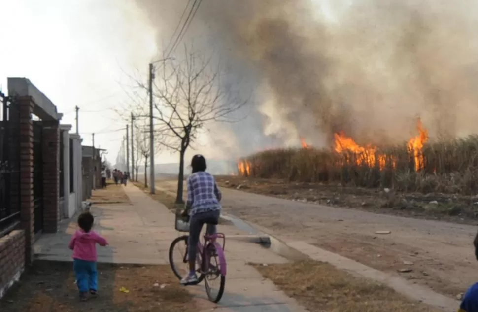 IMAGEN USUAL EN ESTA ÉPOCA. La quema de maloja y rastrojos en los cañaverales es una constante en el sur. LA GACETA / FOTO DE OSVALDO RIPOLL